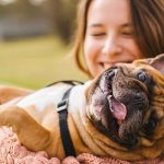 What To Keep In Mind When Moving Overseas With A Pet